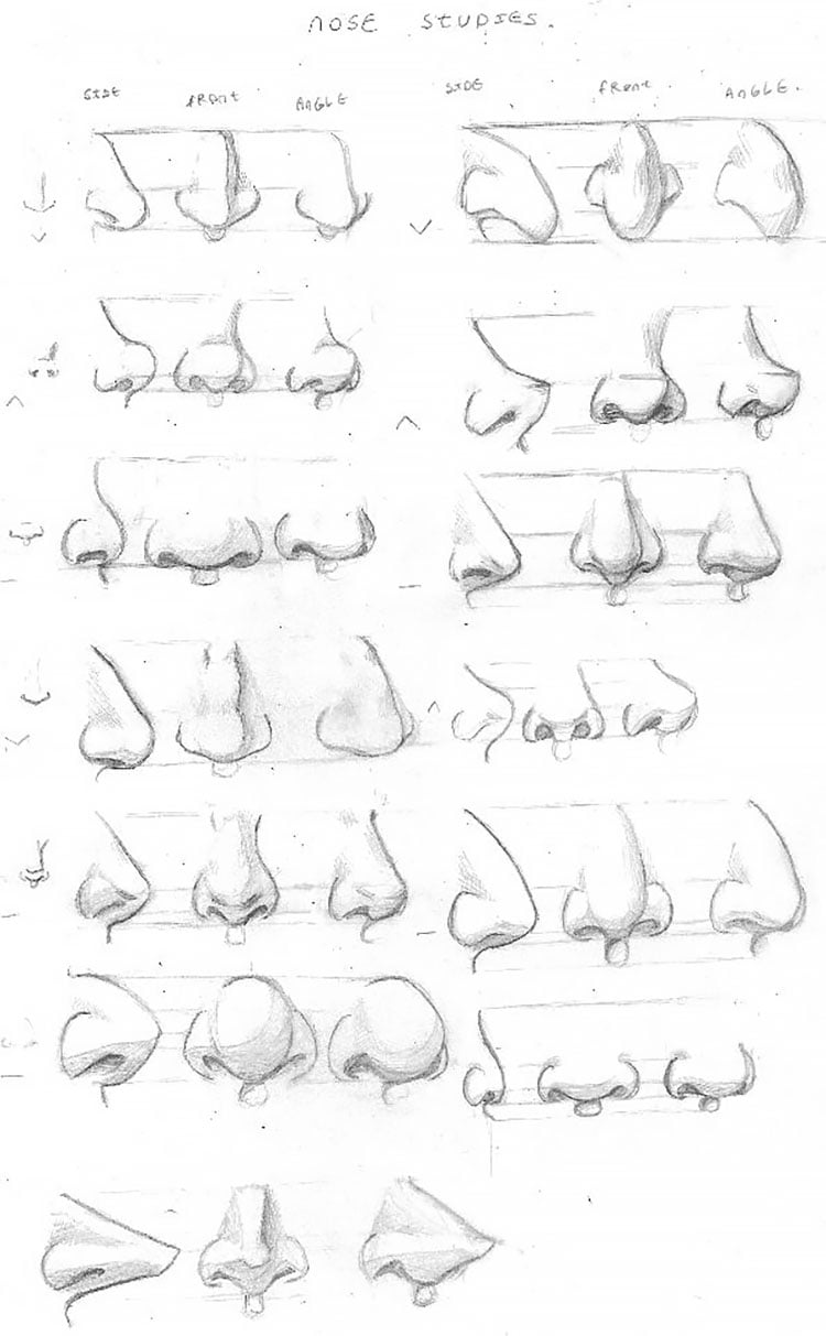 NOSE STUDIES