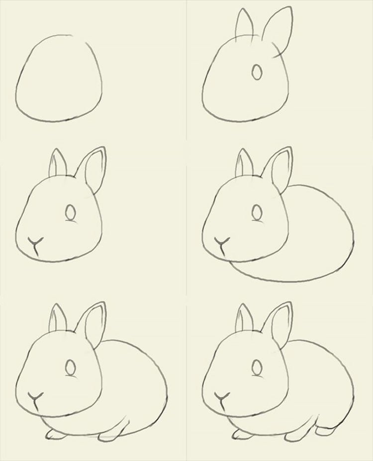 HOW TO DRAW A BUNNY