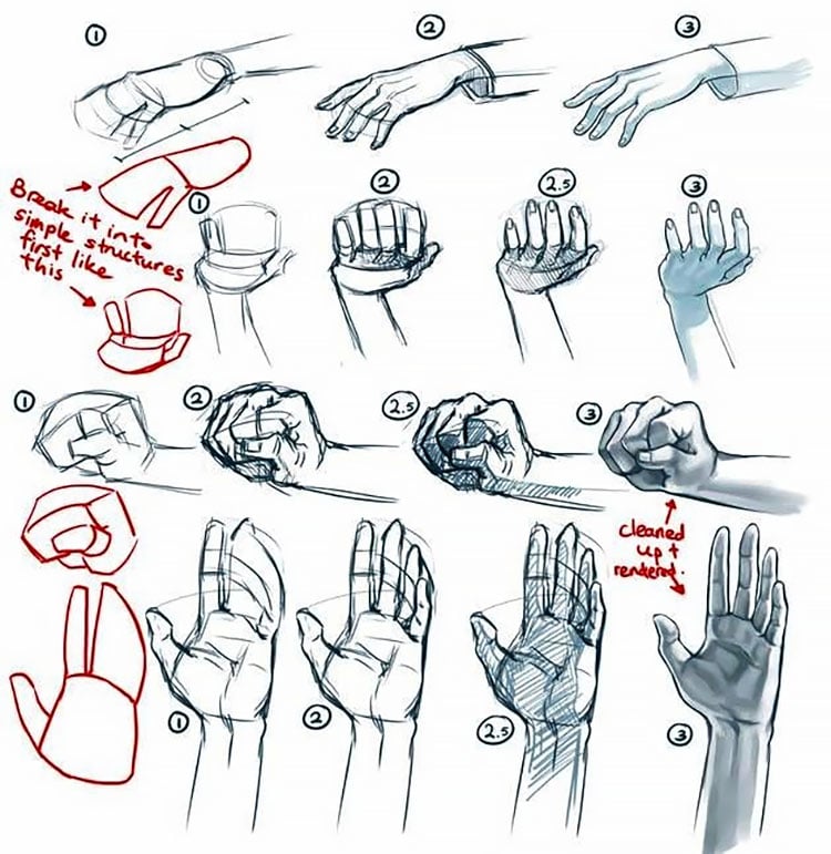 HOW TO DRAW HANDS