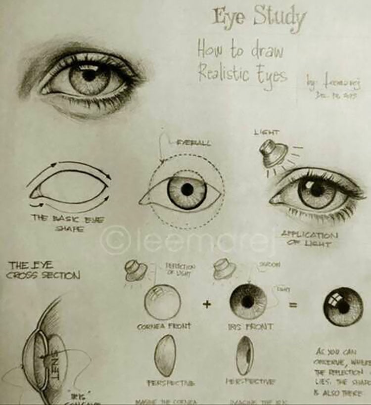 EYE STUDY FOR DRAWING REALISTIC EYES