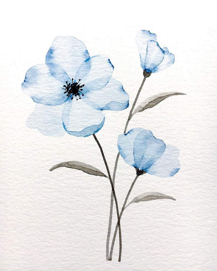 12 Watercolor Flower Painting Ideas for Beginners - Beautiful Dawn