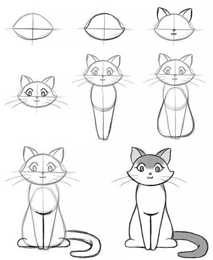 easy cat sketches