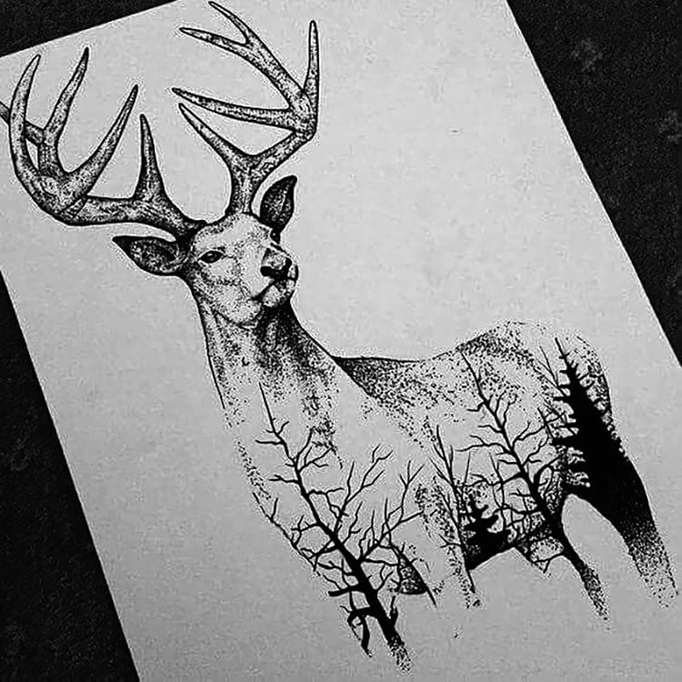 CREATIVE DEER DRAWING