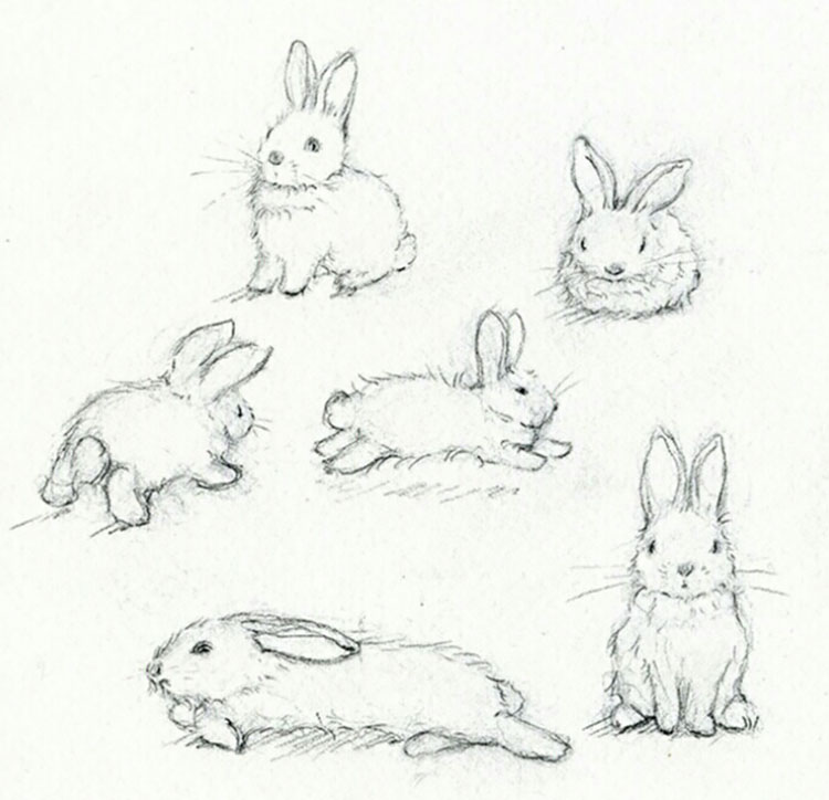 RABBITS SKETCH