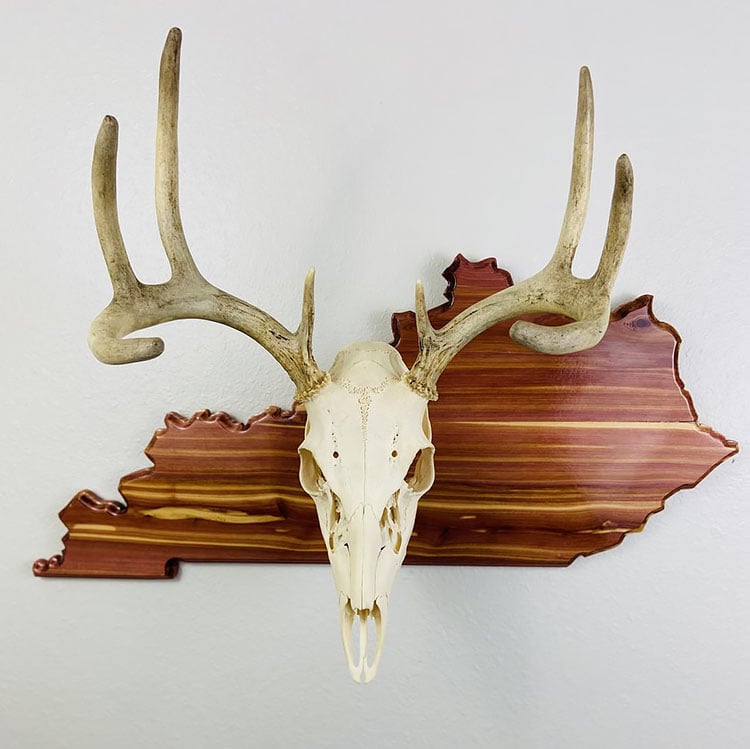 Euro Mount Plaque Ideas