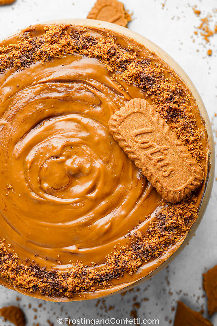 No Bake Chocolate Biscoff Cheesecake