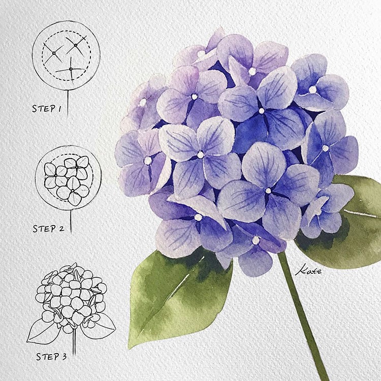 how to draw realistic flowers