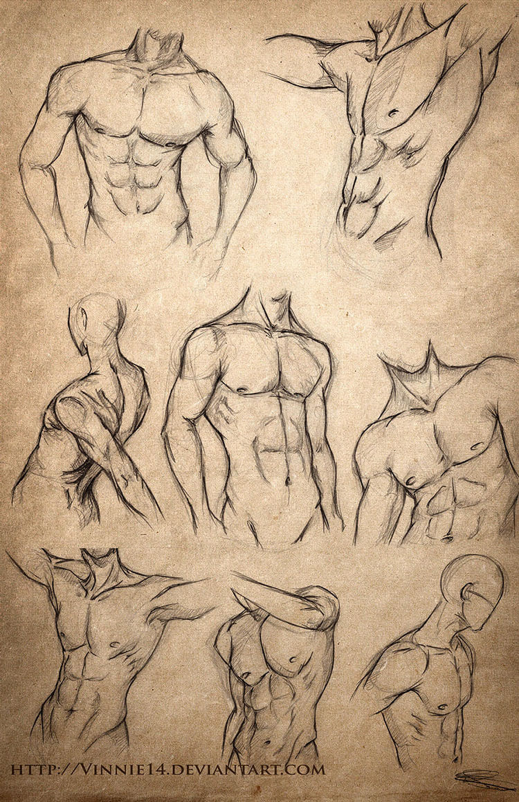 Human Anatomy Drawing Ideas and Pose References Beautiful Dawn Designs