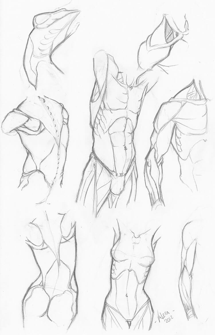 poses for drawing male body