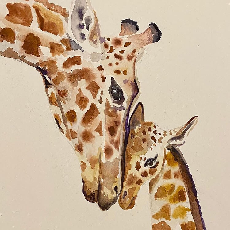 animal watercolor drawing