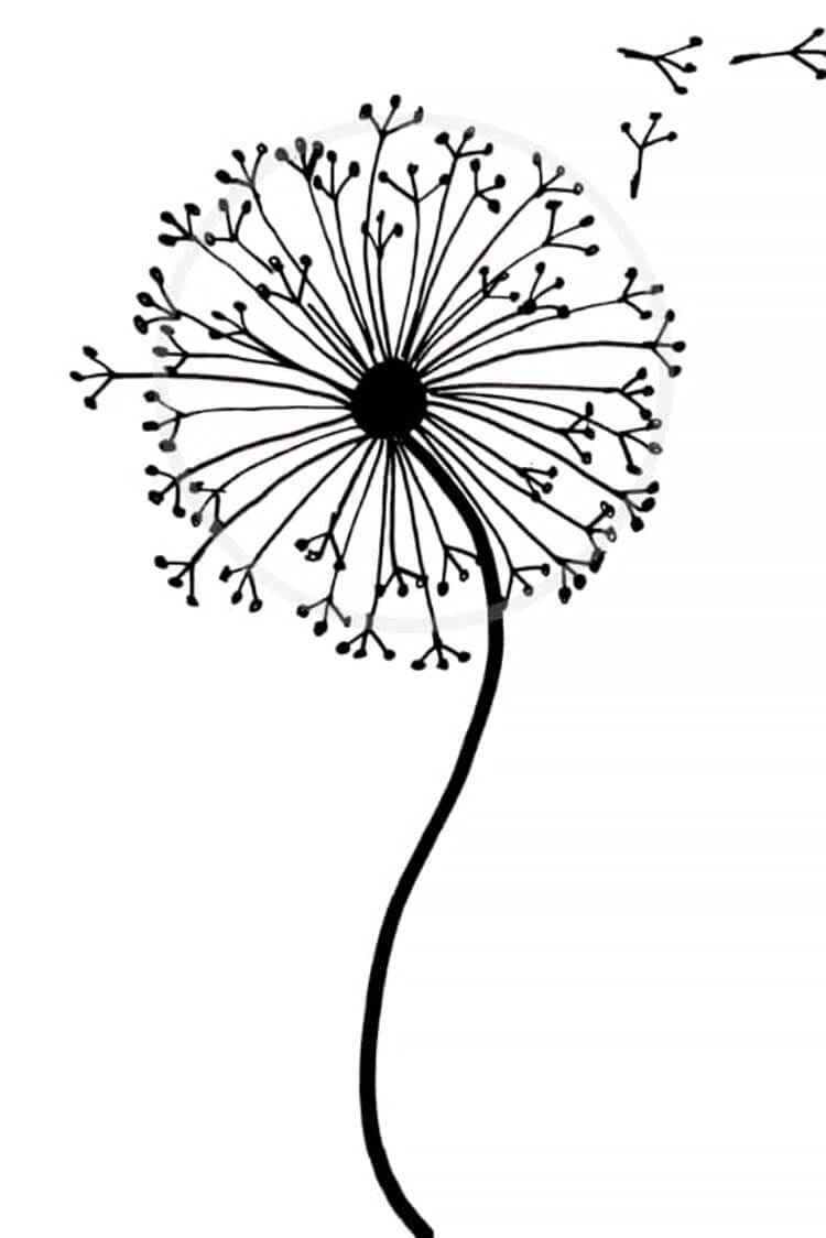 HOW TO DRAW A DANDELION