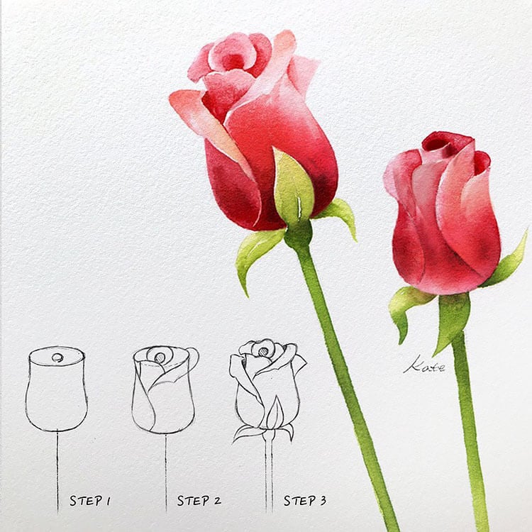 How To Draw A Rose? A Step-By-Step Tutorial For Kids