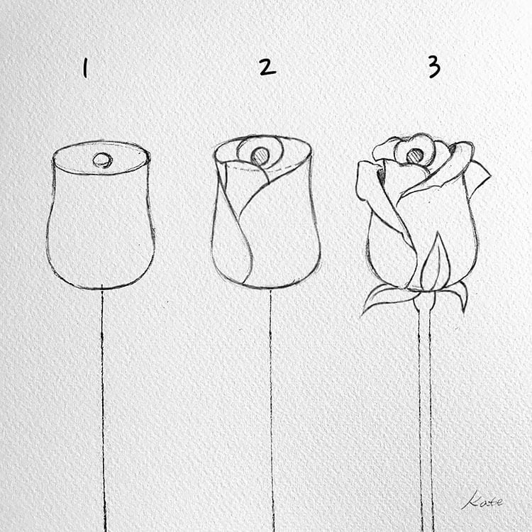 how to draw a cool rose step by step