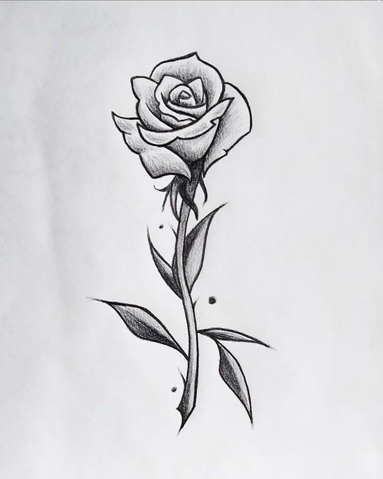 cool easy drawings of roses