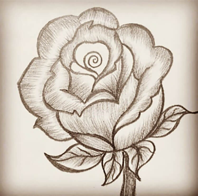 How to Draw a Rose: A Step by Step Guide