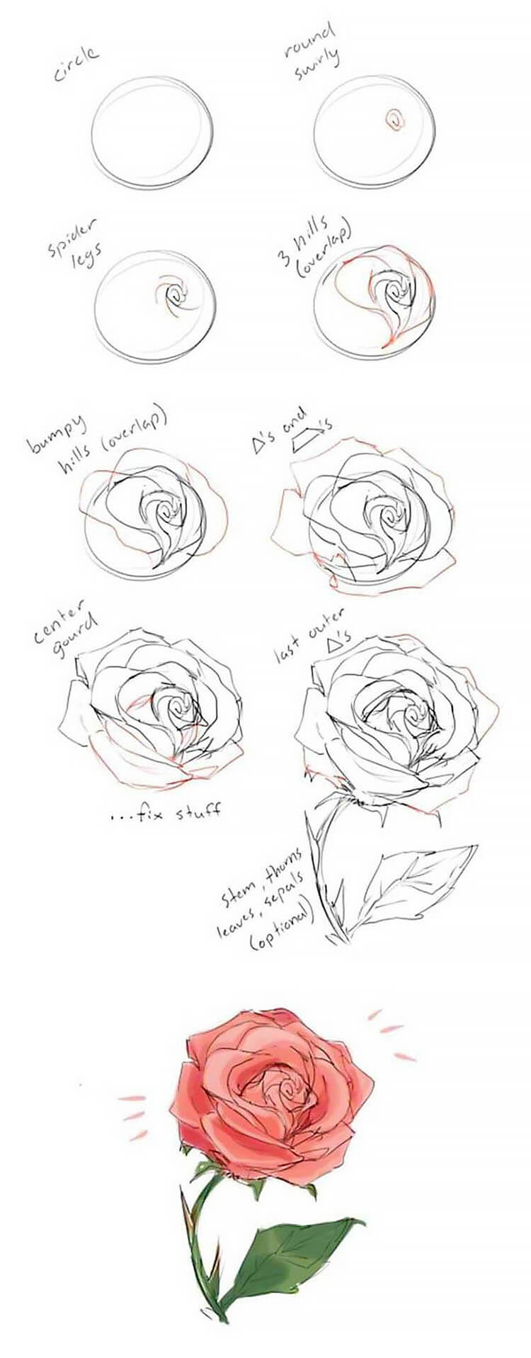 roses drawings step by step