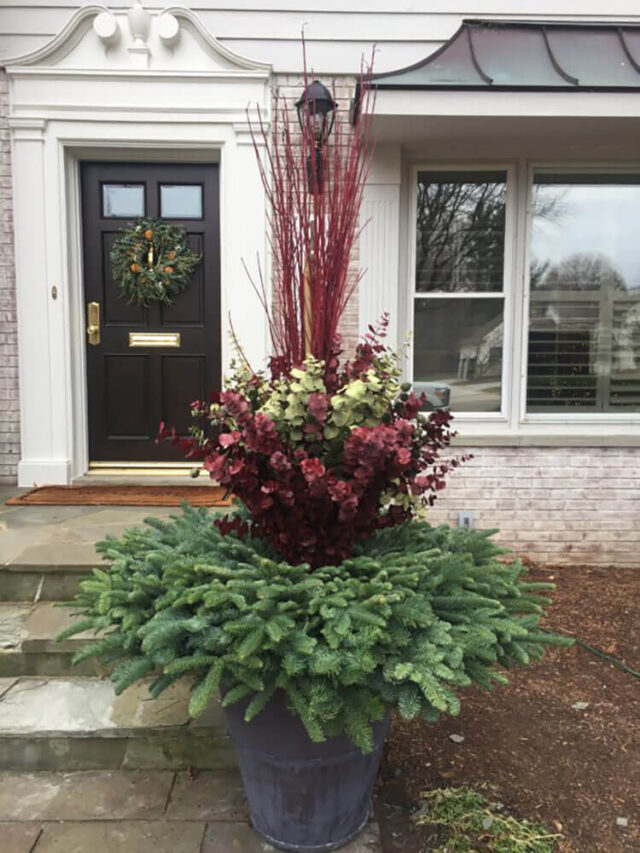12-outdoor-winter-planter-diy-ideas-beautiful-dawn-designs